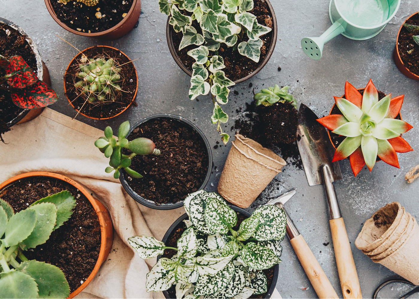 Creative Ways To Grow A Garden