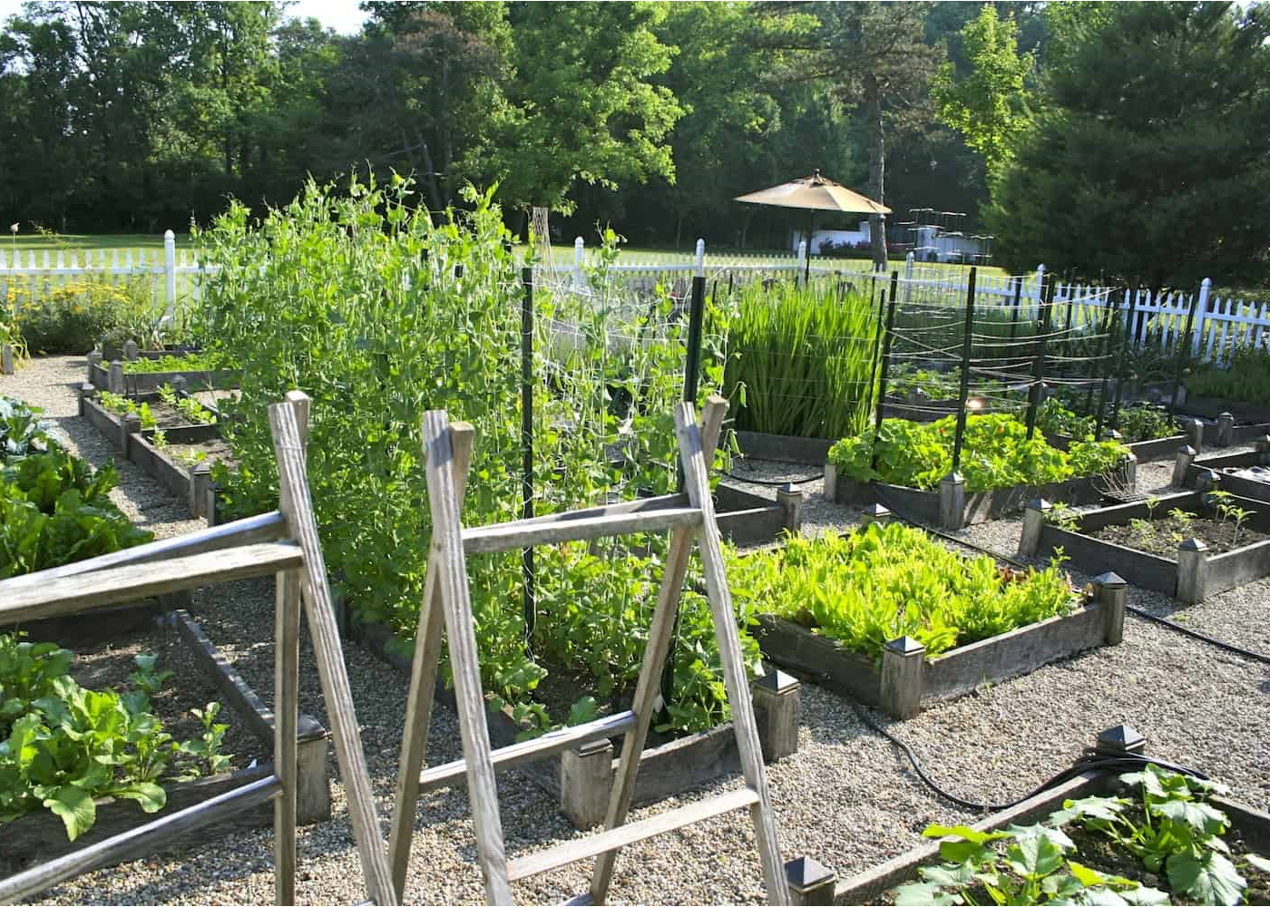 Tips For Planning The Best Vegetable Garden